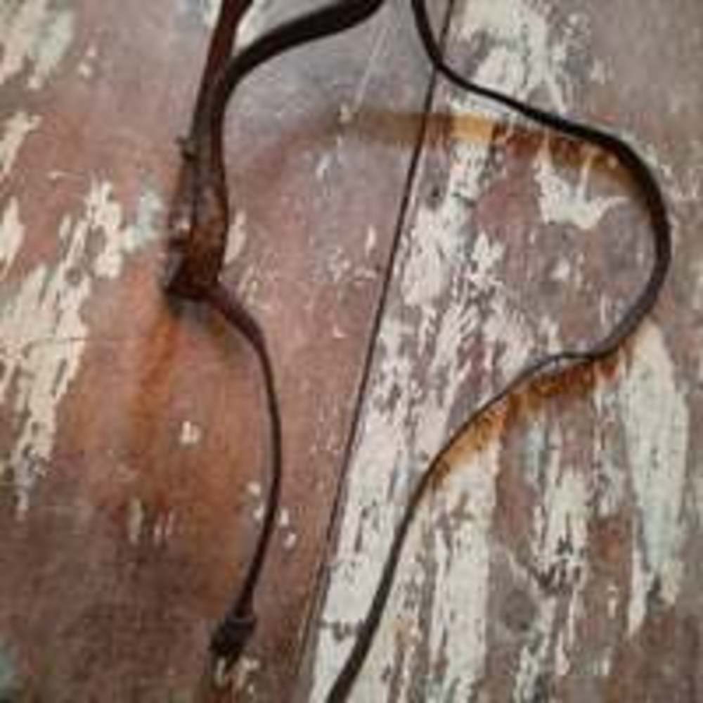 Vintage leather tack